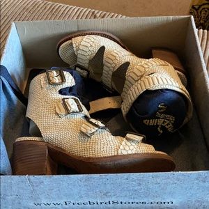 Freebird by Steven Quail White Snake 8